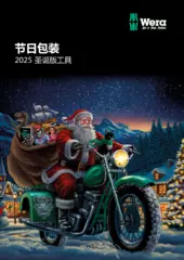 2025 Christmas items