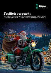 2025 Christmas items