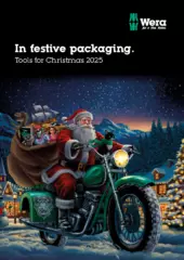 2025 Christmas items