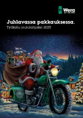 2025 Christmas items