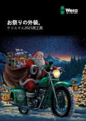 2025 Christmas items