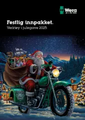 2025 Christmas items